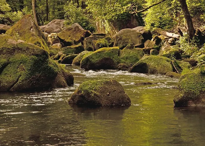 Waldlehne Vakantiehuis *